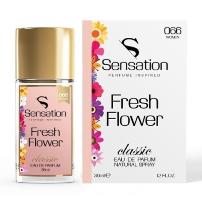 Sensation No.066 - Eau de Parfum fur Damen 36 ml